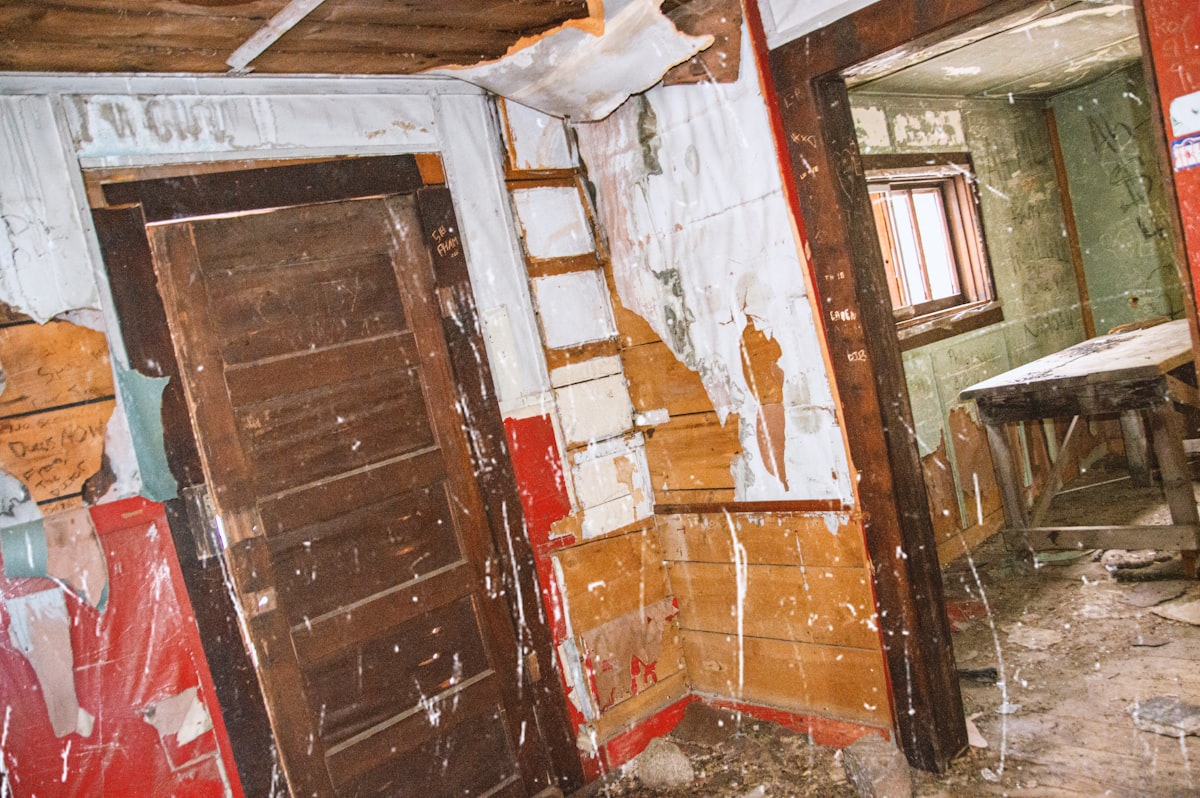 Mold Remediation service in Clifton, NJ