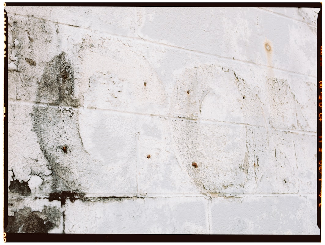 Basement Water Removal service in Clifton, NJ