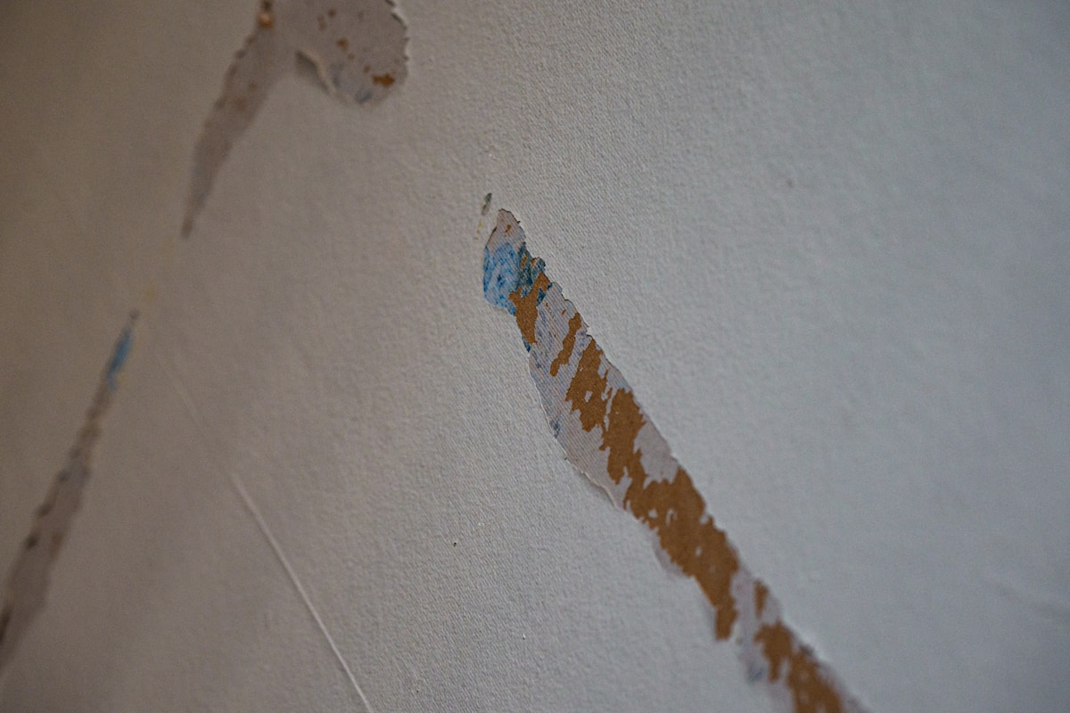 Commercial Water Damage service in Clifton, NJ